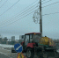 В Брянске убрали 64 дерева, упавшие из-за снегопада - ИА Наш Брянск.ru