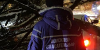 Аварийные бригады круглосуточно убирают последствия непогоды - Газета Деснянская правда