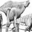 Как поиски нефти привели геолога к останкам первого в России динозавра - Газета Брянские новости