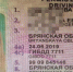 Жительница Брянска осуждена за поддельные водительские права - Сетевое издание Новости Брянска