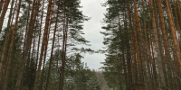 13 pogoda - ГТРК