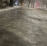 В Брянске улицы города превратились в каток - БрянскToday.Ru