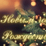 Уважаемые коллеги! Дорогие друзья! - Центр охраны здоровья животных