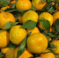 12 mandarin - ГТРК