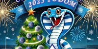 С Новым годом! - ФК Динамо