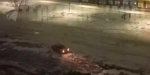 Брянцы пожаловались на дрифтеров на улице Войстроченко, мешающих отдыху граждан