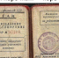 В Брянске гаишники поймали фальсификатора с фальшивыми правами - Брянский ворчун