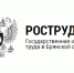 Сотрудница магазина из Брянска разбила голову - Брянская улица
