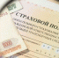 В 2024 году Отделение СФР по Брянской области компенсировало стоимость полиса ОСАГО 116 гражданам с инвалидностью - Брянская улица