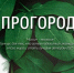От экосказок до лирики: брянский конкурс «ПРОгород» открывает новые творческие горизонты - Комсомольская Правда