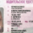 Водительские права молодой жительницы Брянска нашли на помойке - Сетевое издание Новости Брянска