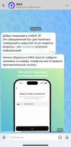 Брянцы смогут общаться в мессенджере Max от компании VK