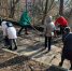 Брянцев призвали убрать свои дворы - БрянскToday.Ru