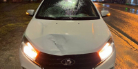 Под Брянском водитель Lada сбил перебегавшую дорогу 48-летнюю женщину - Газета Брянские новости