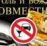 Брянские полицейские подвели итоги оперативно-профилактического мероприятия «Нетрезвый водитель» - УМВД по Брянску 