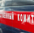 СК начал расследовать гибель жителя брянского села Лемешовка при атаке ВСУ - Газета Брянские новости