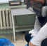 В Брянской области резко выросла наркопреступность - Газета Брянские новости