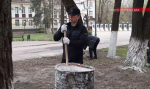 Богомаза и Макарова могут лишить добровольно-принудительных субботников