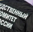 Бастрыкин затребовал повторный доклад по делу об избиении подростков в калужском Белоусове - Ракурс 32