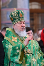 В праздник Входа Господня в Иерусалим митрополит Александр совершил Божественную литургию в Брянском кафедральном соборе