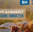 Утренний дайджест «ВН»: рекордная убыль населения, потепление до +23 градусов и очередное поражение «Факела» - Ракурс 32