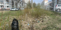 Сотрудники городской администрации очистили от мусора улицу Радищева - Администрация
