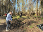Жители Брянска вышли на масштабный общегородской субботник