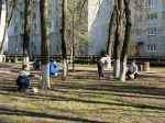 Жители Брянска вышли на масштабный общегородской субботник