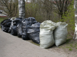 Депутаты и сотрудники Брянской областной Думы приняли участие в субботнике