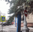 Бардак на парковке областной Думы озадачил брянцев - Брянский ворчун