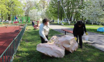 Жители Брянской области приняли участие во Всероссийском субботнике