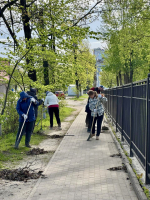 Сотрудники департамента сельского хозяйства приняли участие во Всероссийском субботнике
