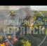 Вчера огонь охватил деревню под брянским Севском - ИА Наш Брянск.ru