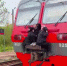В Брянске наказали троих подростков-«зацеперов» - Bryansk.News