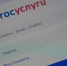 Для решения бытовых вопросов брянцы активно пользуются приложением Госуслуги.Дом - Брянская Учительская газета