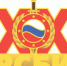 РСБИ – 20 лет! - Российский союз боевых искусств