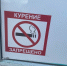 В ЦФО растет количество курильщиков электронных сигарет - Vbryanske.Com