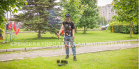 В Брянске за выходные скосили больше 15 «футбольных полей» - Bryansk.News