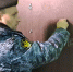Брянские приставы к 1 июня «стрясли» со злостных алиментщиков 5,8 миллионов рублей   - Bryansk.News