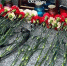 При подрыве мостов в Брянской и Курской областях пострадали 113 человек - Брянская улица
