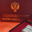 Брянские борцы Иван Гераськин и Кирилл Романенко получили звание мастера спорта - Газета Брянские новости