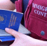 Брянская полиция выявила 173 нарушения миграционных правил - Брянская Учительская газета