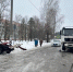 Беглого брянского водителя-убийцу приговорили к четырем годам - БрянскToday.Ru