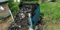 В Рогнединском районе соседская распря погубила пасеку - Брянский ворчун