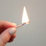 Брянчанка сожгла пасеку соседа - Vbryanske.Com