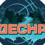 Все новички БК “Десна” - Sport-32.ru