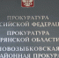 Прокуратура в Новозыбкове рассказала о тысяче нарушений законодательства в различных сферах  - БрянскНОВОСТИ.RU
