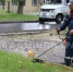 В Брянске за выходные покосили 182 тысячи квадратных метров газонов - Комсомольская Правда
