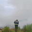 В Брянской области ликвидировали пожар на маковых полях - Bryansk.News