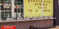 В Брянске собака искусала подростка - БрянскToday.Ru